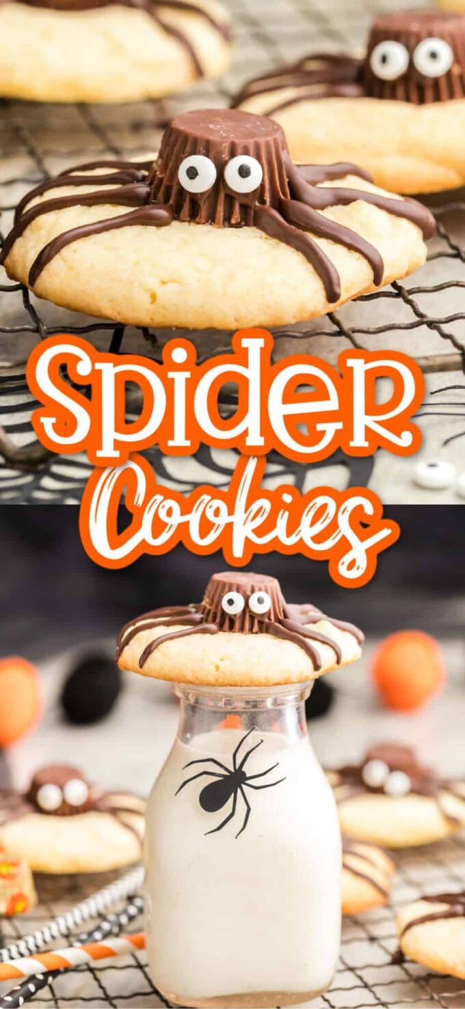 Spider Cookies Pinterest Image