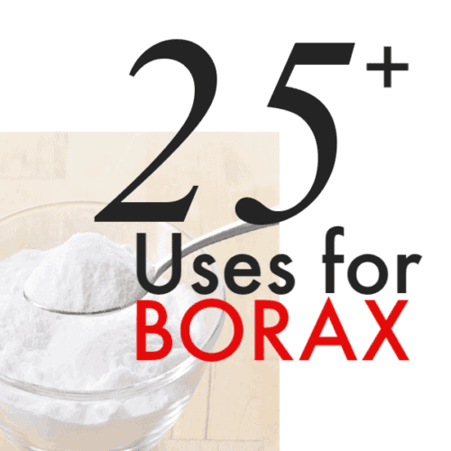 Borax Hacks 25 Uses For Borax that You Never Knew Princess Borax Hacks 25 Uses For Borax That You Never Knew Princess