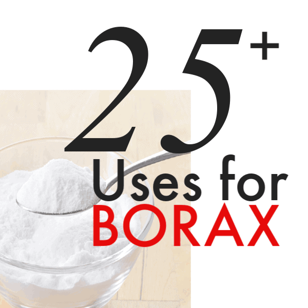 Over 25 Uses for Borax... some you never even knew!
