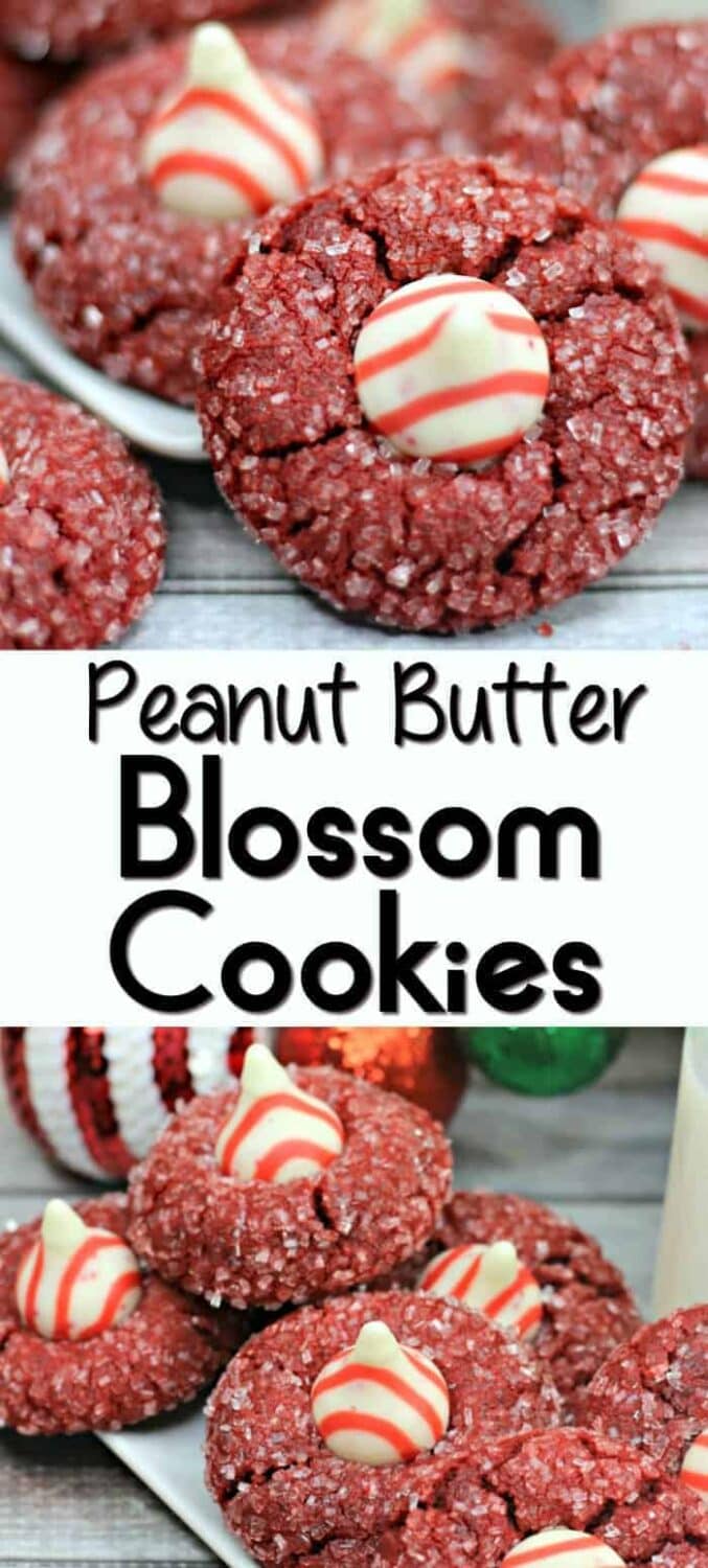 Peanut Butter Blossom Cookies