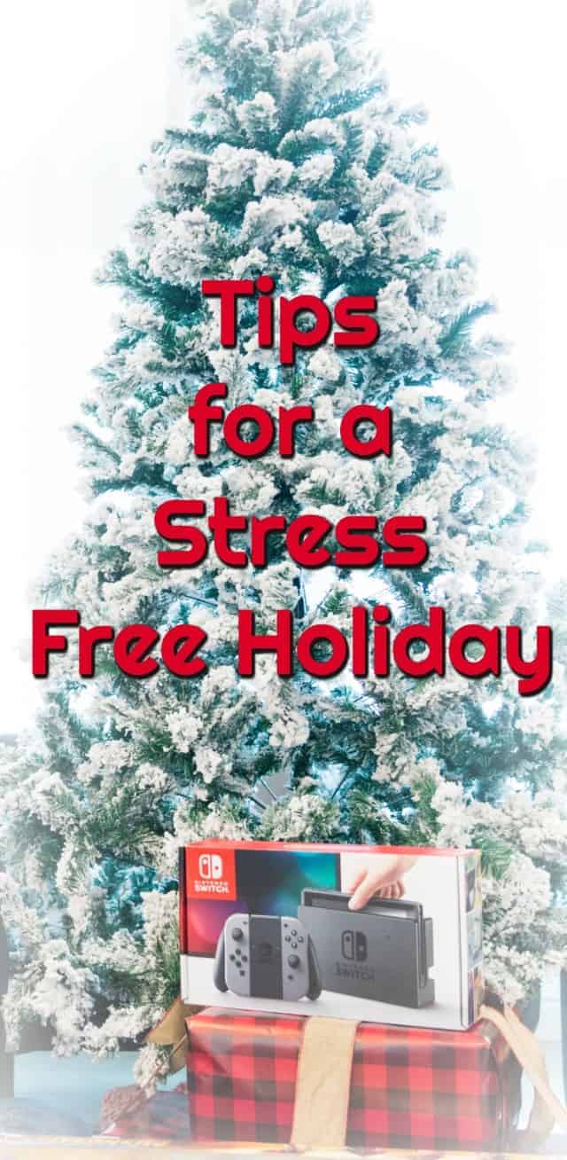 Tips for a Stress Free Holiday