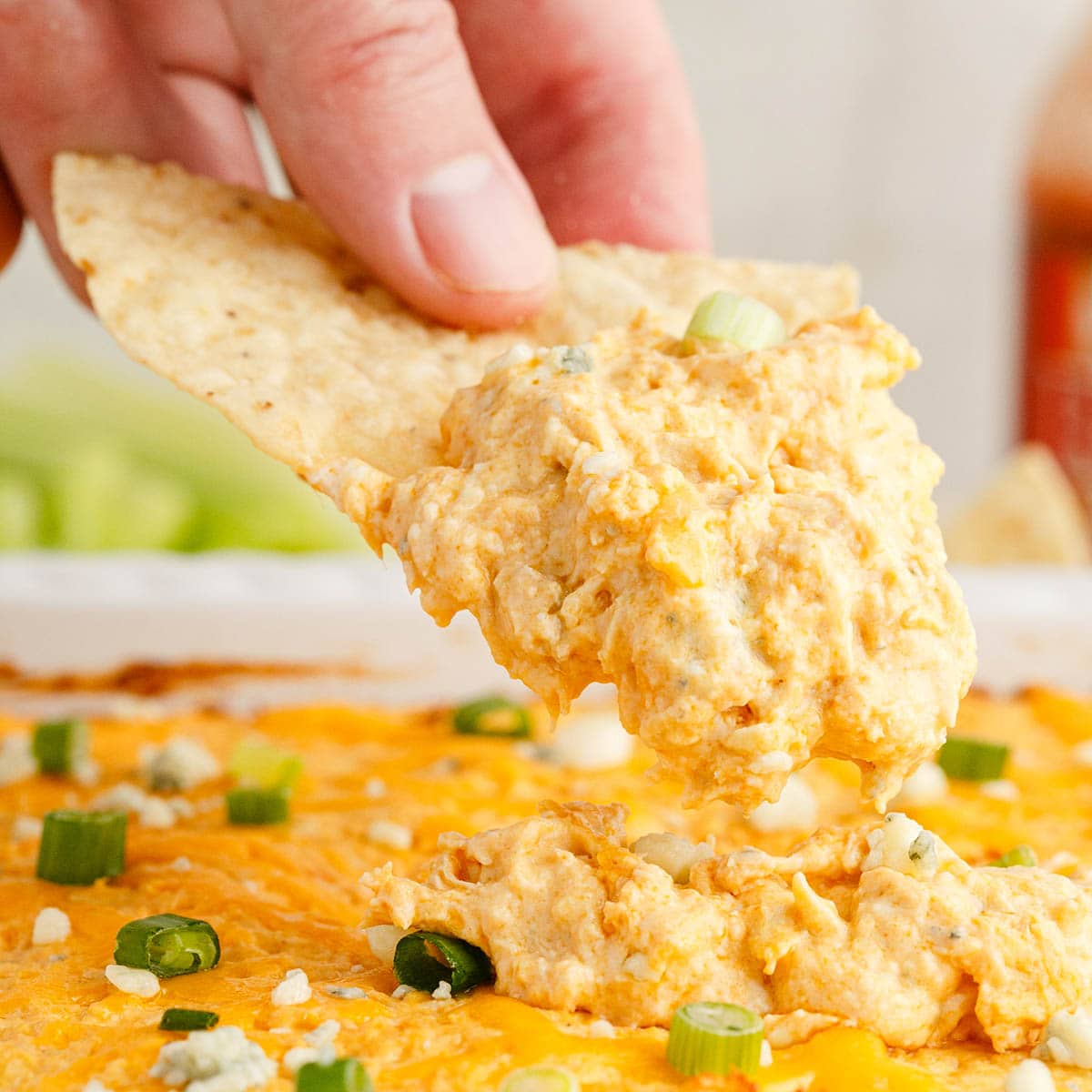 buffalo chicken dip