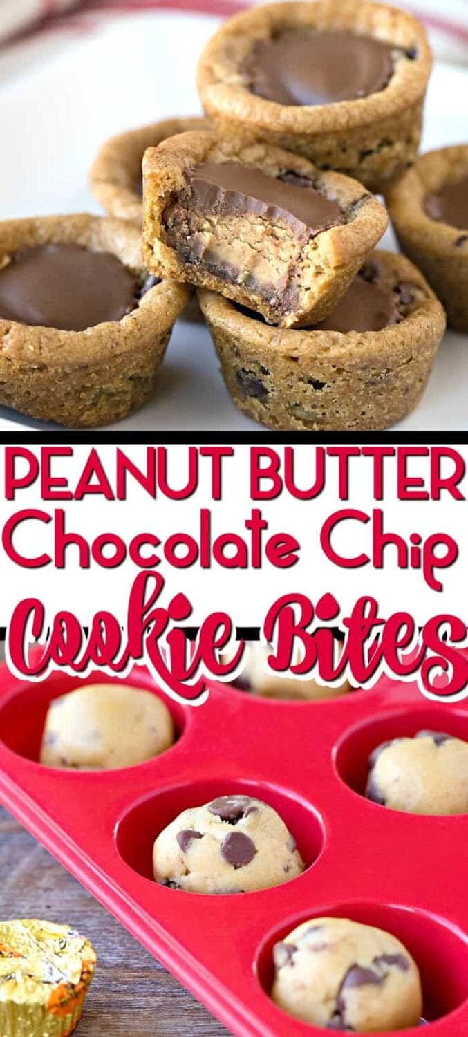 peanut butter chocolate chip cookie bites