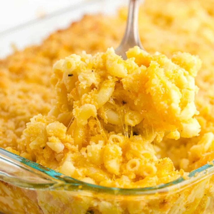 Baked Mac and Cheese square