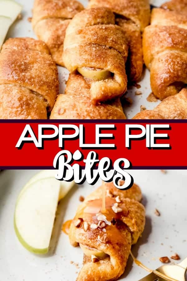 Apple Pie Bites Pin