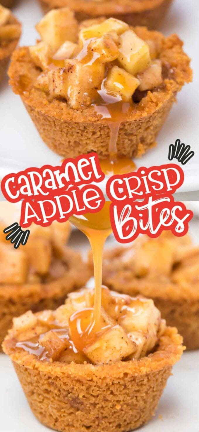 apple crisp bites Pinterest image