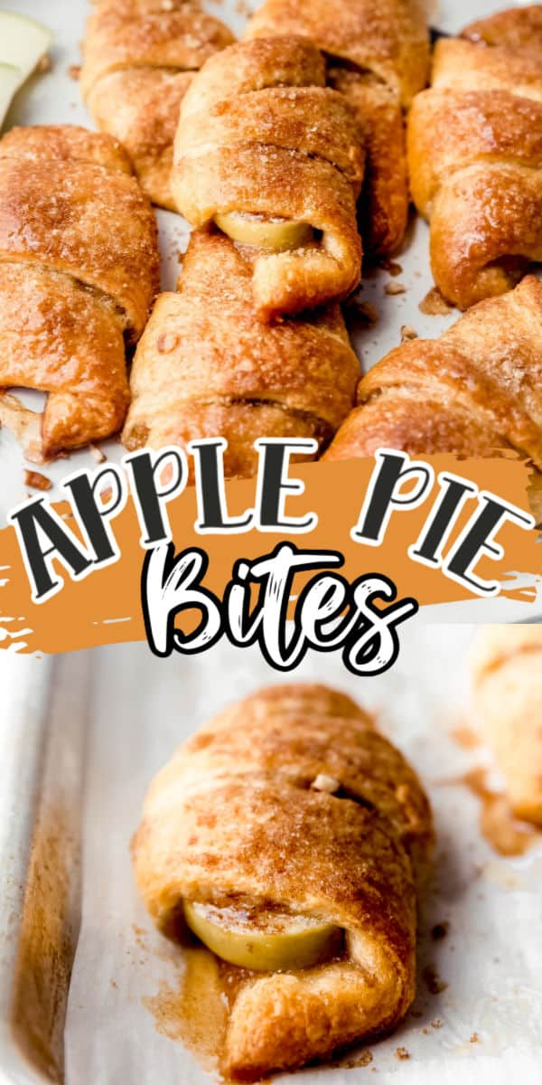 apple pie bites Pinterest