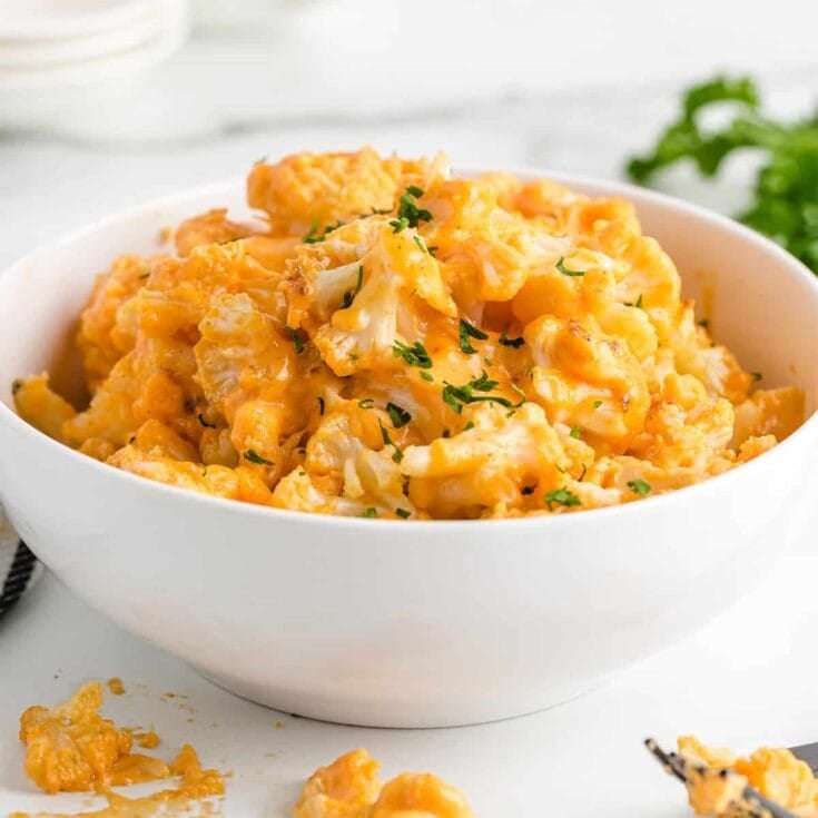 cauliflower mac & cheese featured image