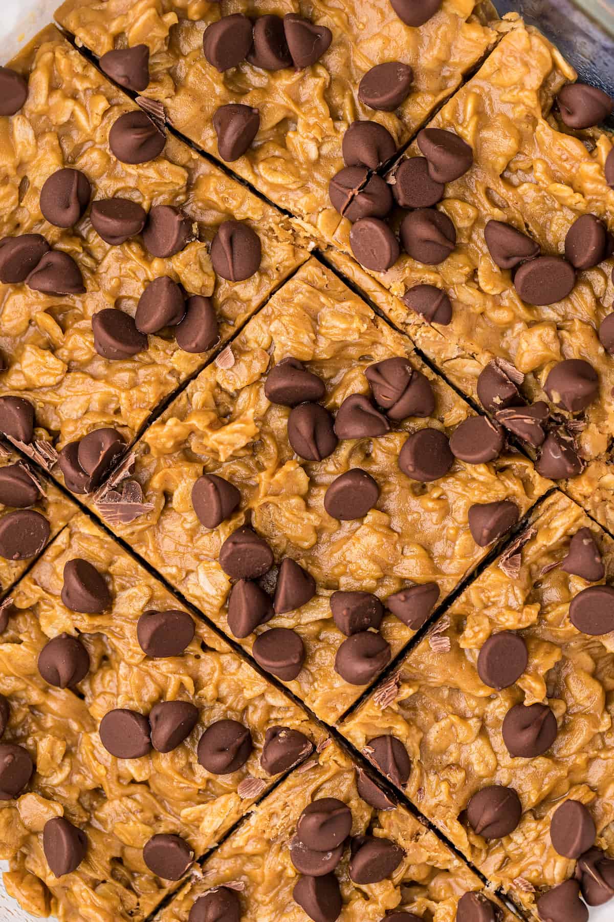 close up of oatmeal bars with chocolate chips on top cut into squares