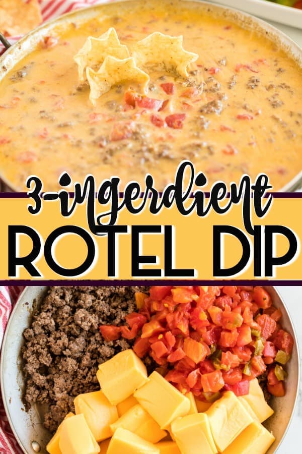 Rotel Dip Only 3 Ingredients Princess Pinky Girl