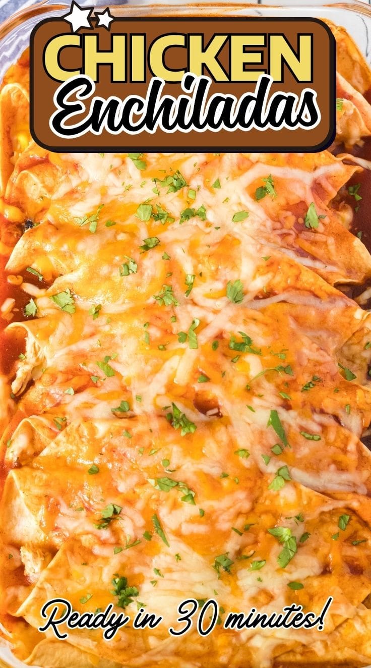 Creamy Chicken Enchiladas inside a baking dish