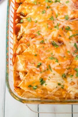 Easy Chicken Enchilada Recipe - Princess Pinky Girl