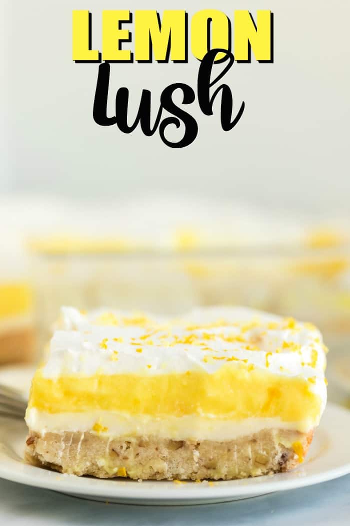 Lemon Lush on a white plate