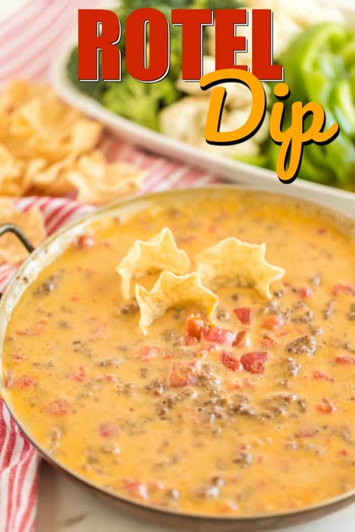 Rotel Dip with chips and veggies
