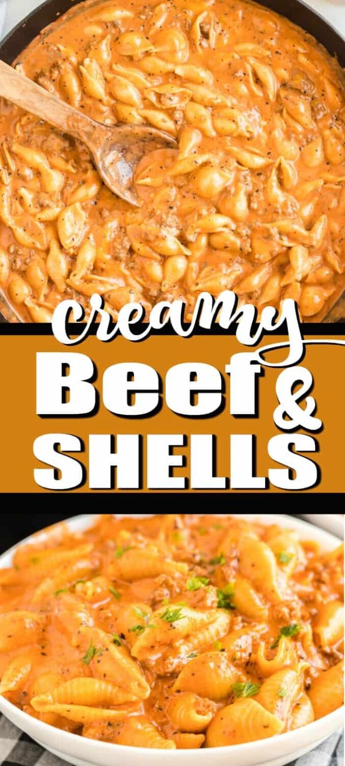 Pinterest 600 x 1200 - shells and cheese 1