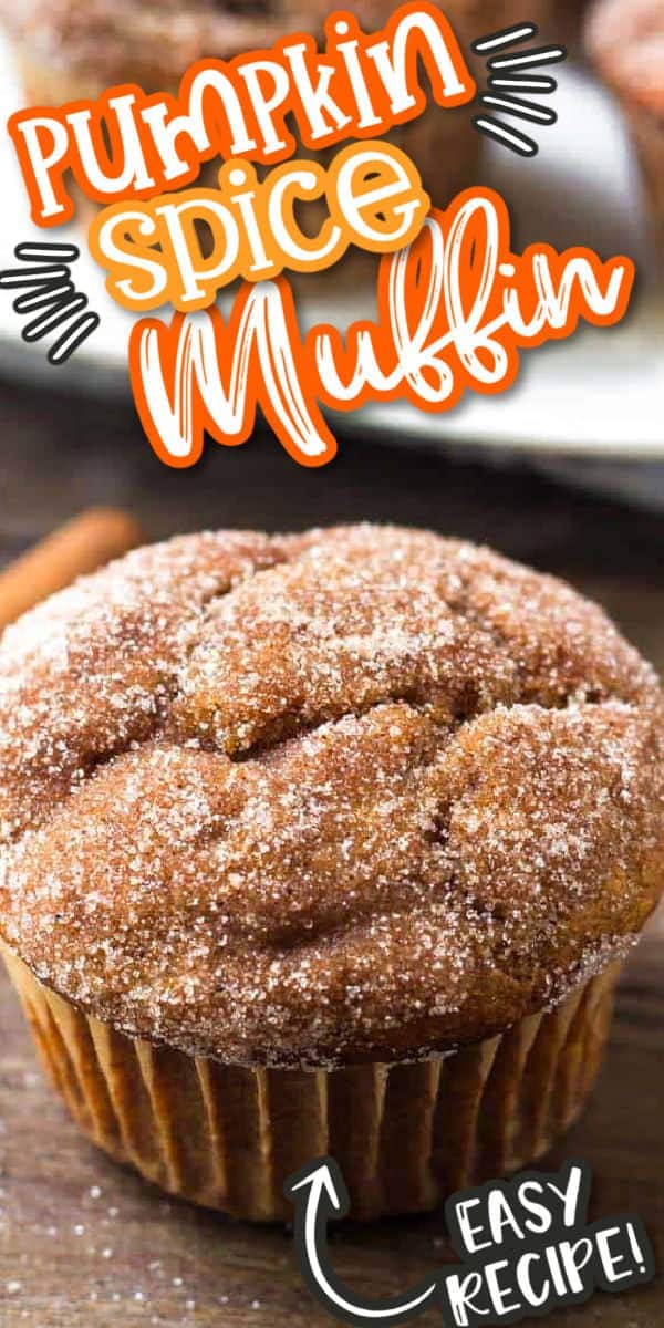 pumpkin spice muffin
