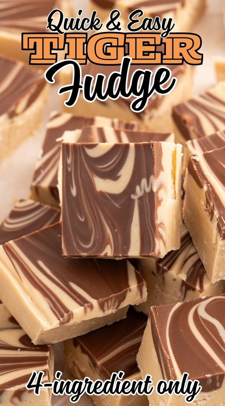 A pile of cubed Tiger Fudge pieces.