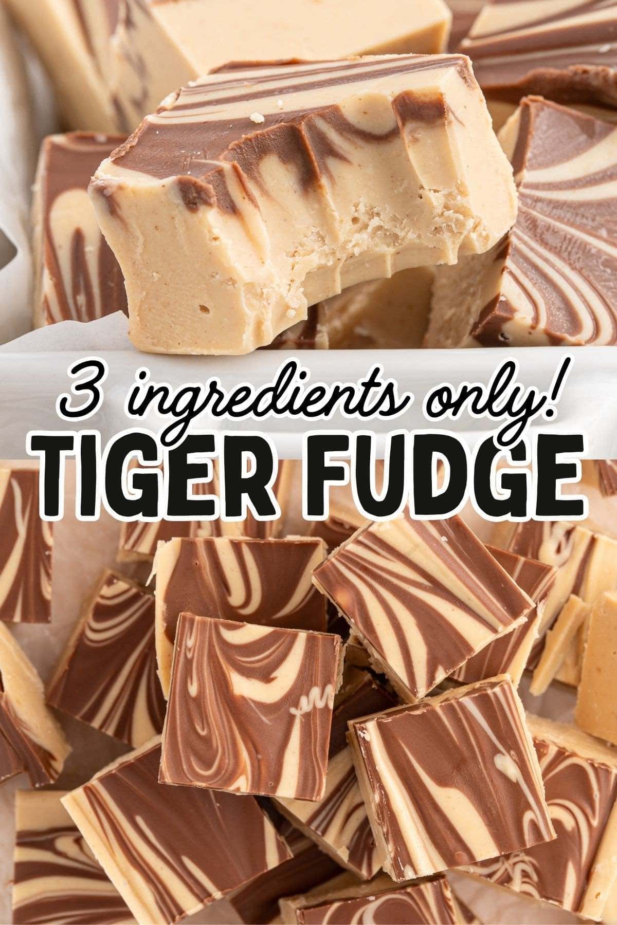 tiger fudge pin.