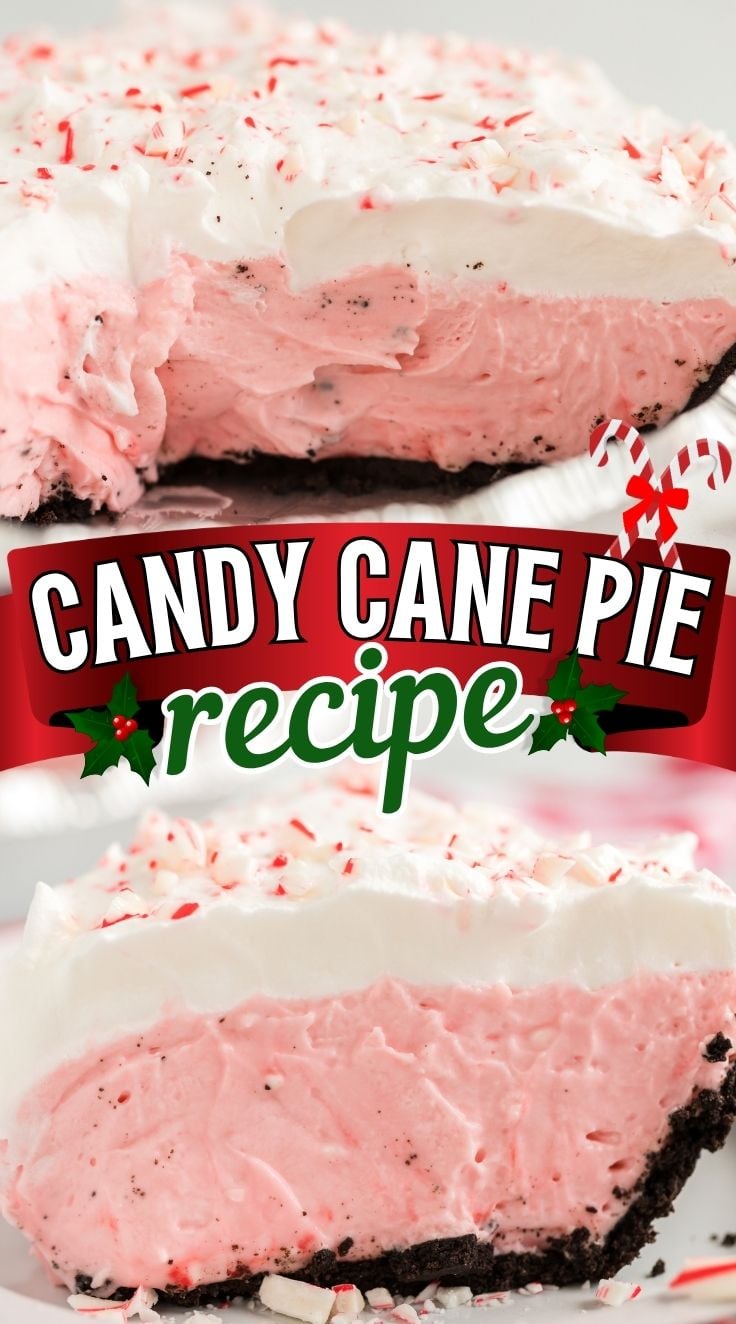 Slice of Candy Cane Pie with a creamy pink peppermint filling and chocolate cookie crust, topped with crushed candy canes