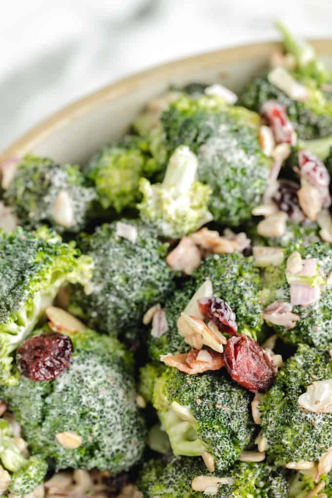 Broccoli Salad with bacon and dried cranberries and almonds