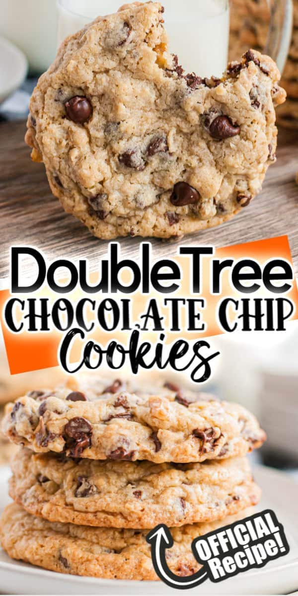 DoubleTree Chocolate Chip Cookies Official Recipe
