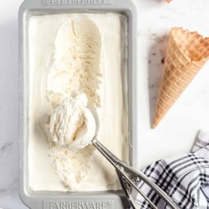 Vanilla Ice Cream in a pan