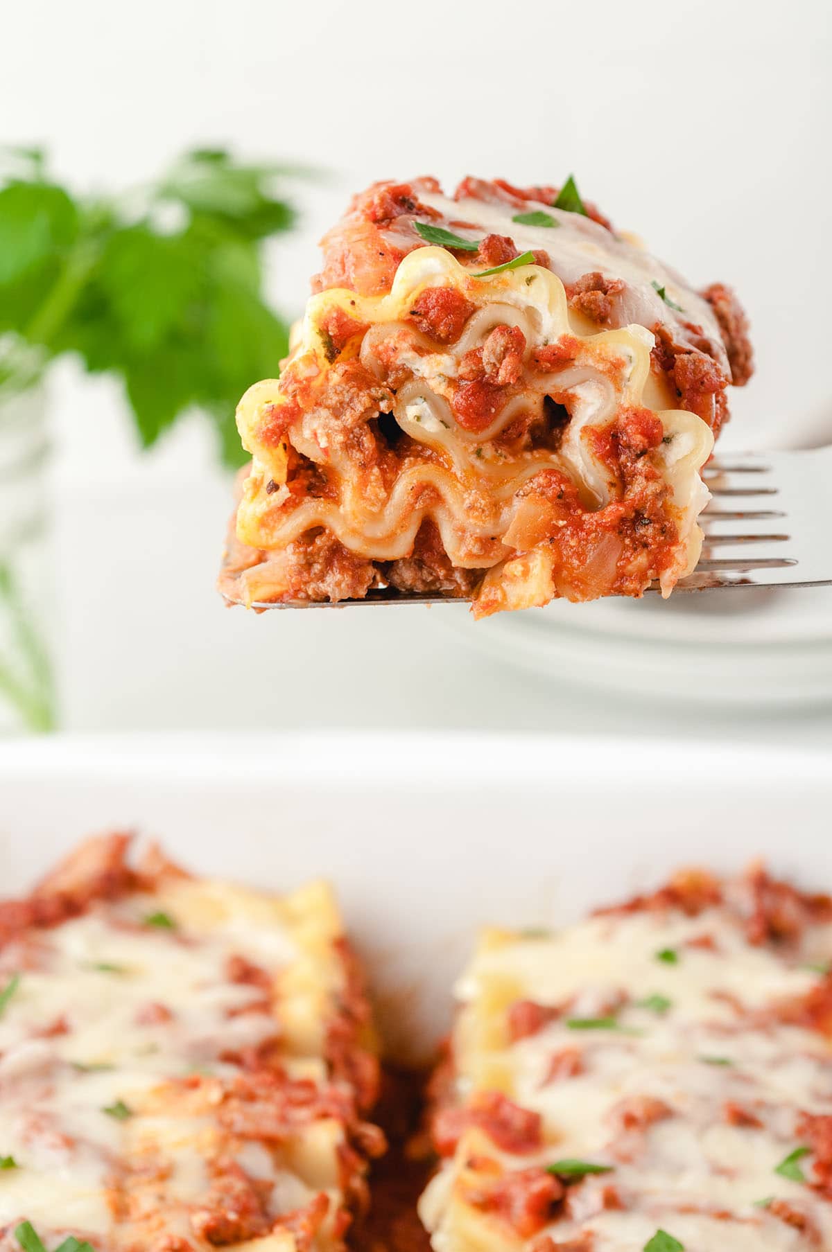 lasagna roll ups.