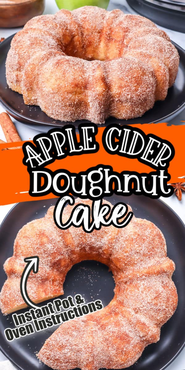 apple cider doughnut cake