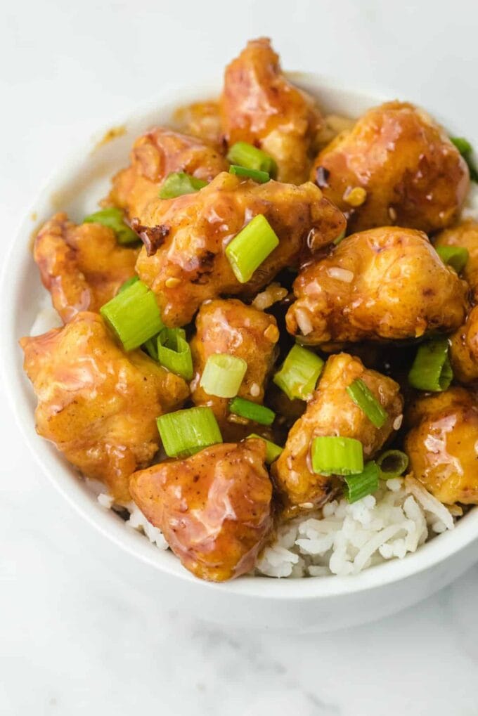 close up of chicken in a white bowl on rice with onion on top