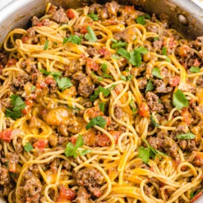 taco spaghetti - Google Web Story Template