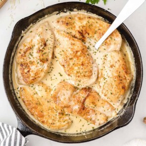 creamy garlic parmesan chicken featured image