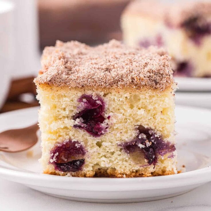 Slice of blueberry breakfast cake with juicy blueberries and a cinnamon-sugar crumb topping on a white plate.