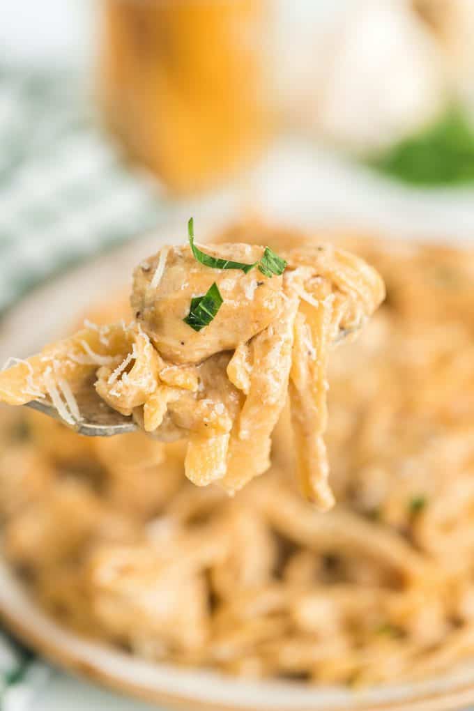 chicken alfredo in a fork