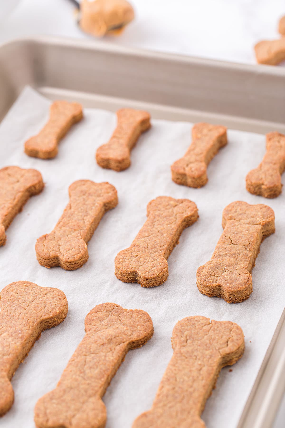 peanut butter dog treats with different sizes placed on top of baking pan. 