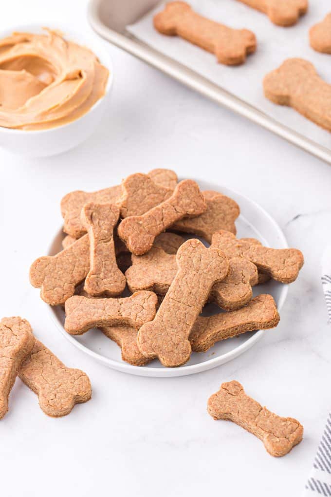 peanut butter dog treat cookies in a plate