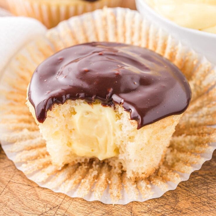 boston cream cupcakes featured image