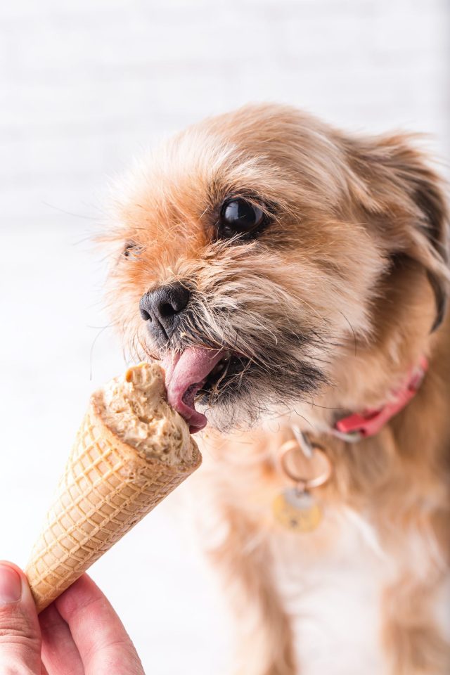 Peanut Butter Dog Ice Cream Princess Pinky Girl