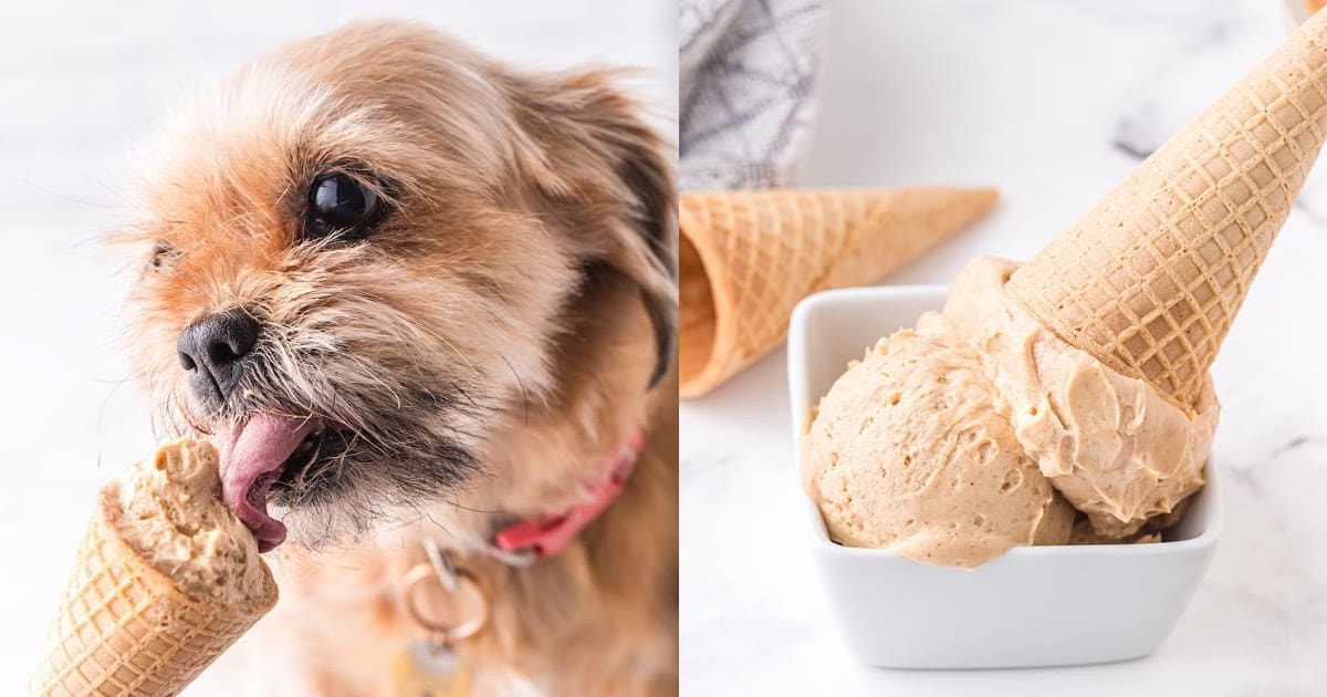 Peanut Butter Dog Ice Cream - Princess 