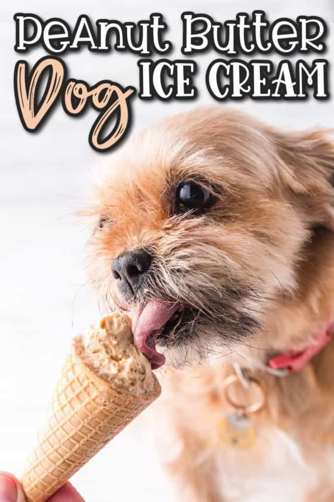 peanut butter dog ice cream Pinterest