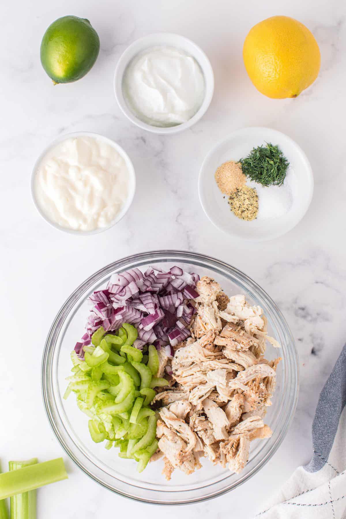 Place shredded chicken, chopped red onion and celery in a large bowl.