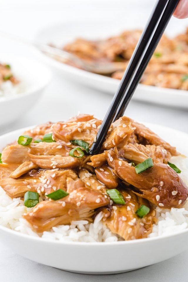 Slow Cooker Teriyaki Chicken (Freezer Meal Recipe!) Princess Pinky Girl