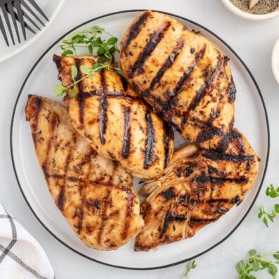 grilled chicken breast featured image