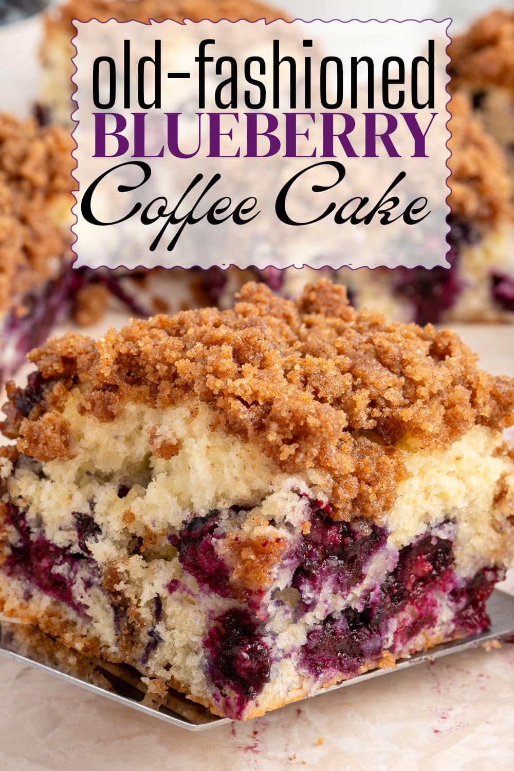 Blueberry Coffee Cake Pin 1
