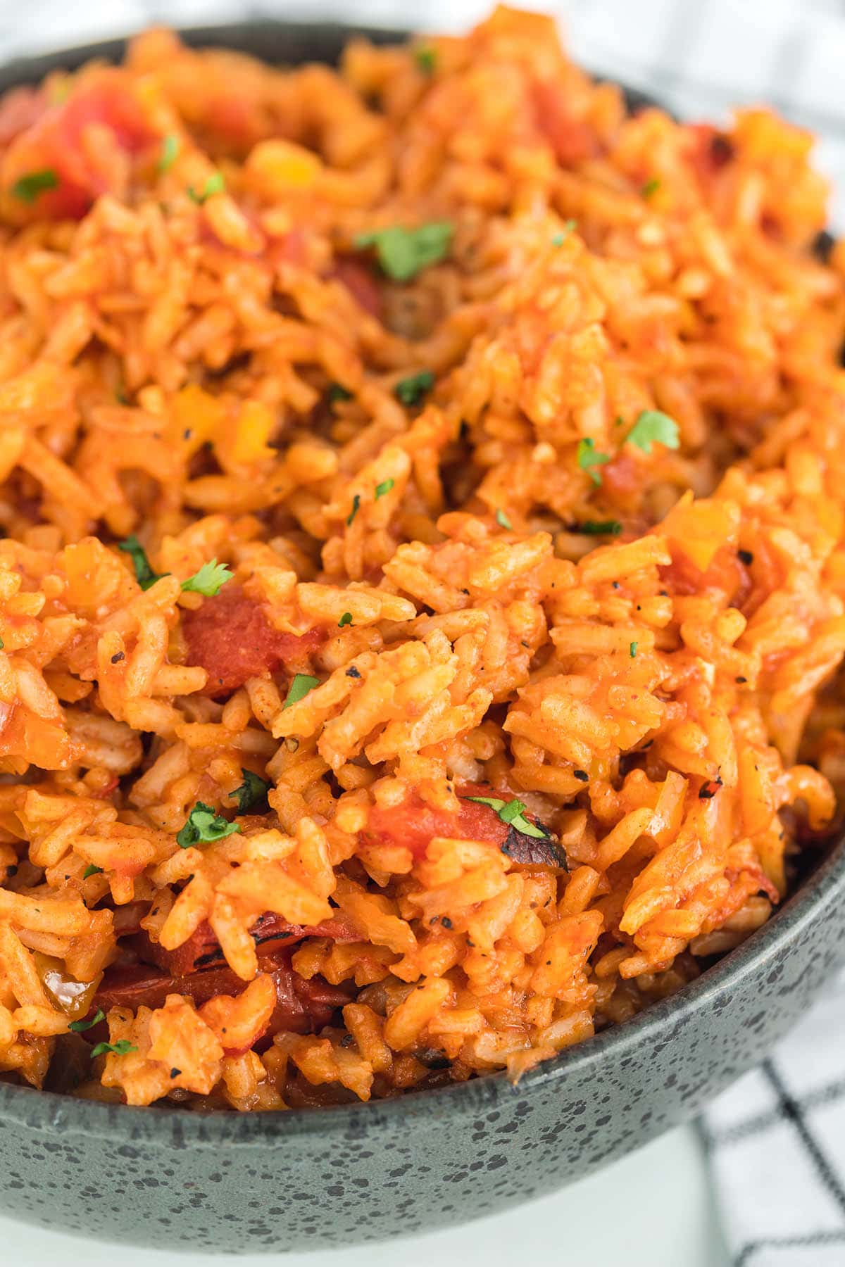 zoomed in spanish rice