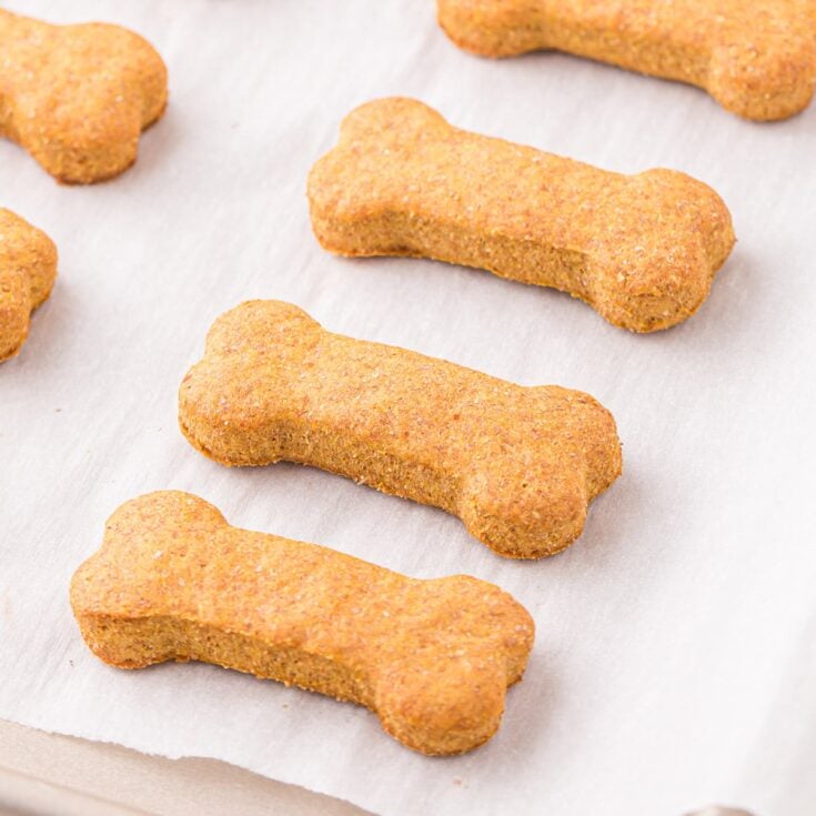 Pumpkin Dog Treats lined up in baking sheet.