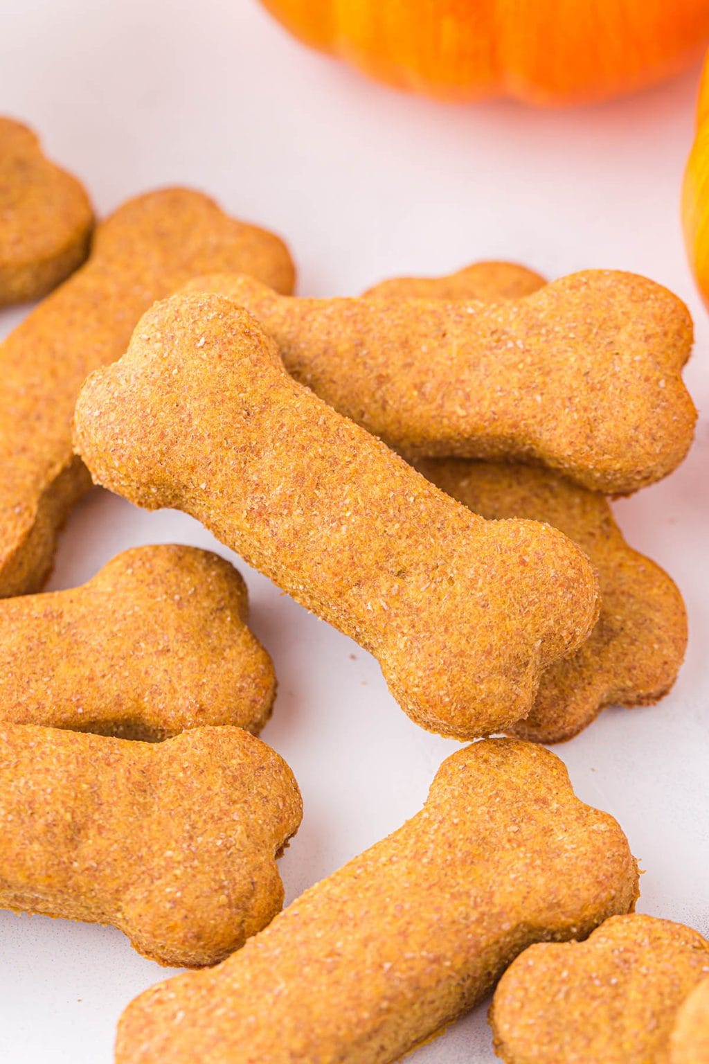 Pumpkin Dog Treats Recipe Princess Pinky Girl