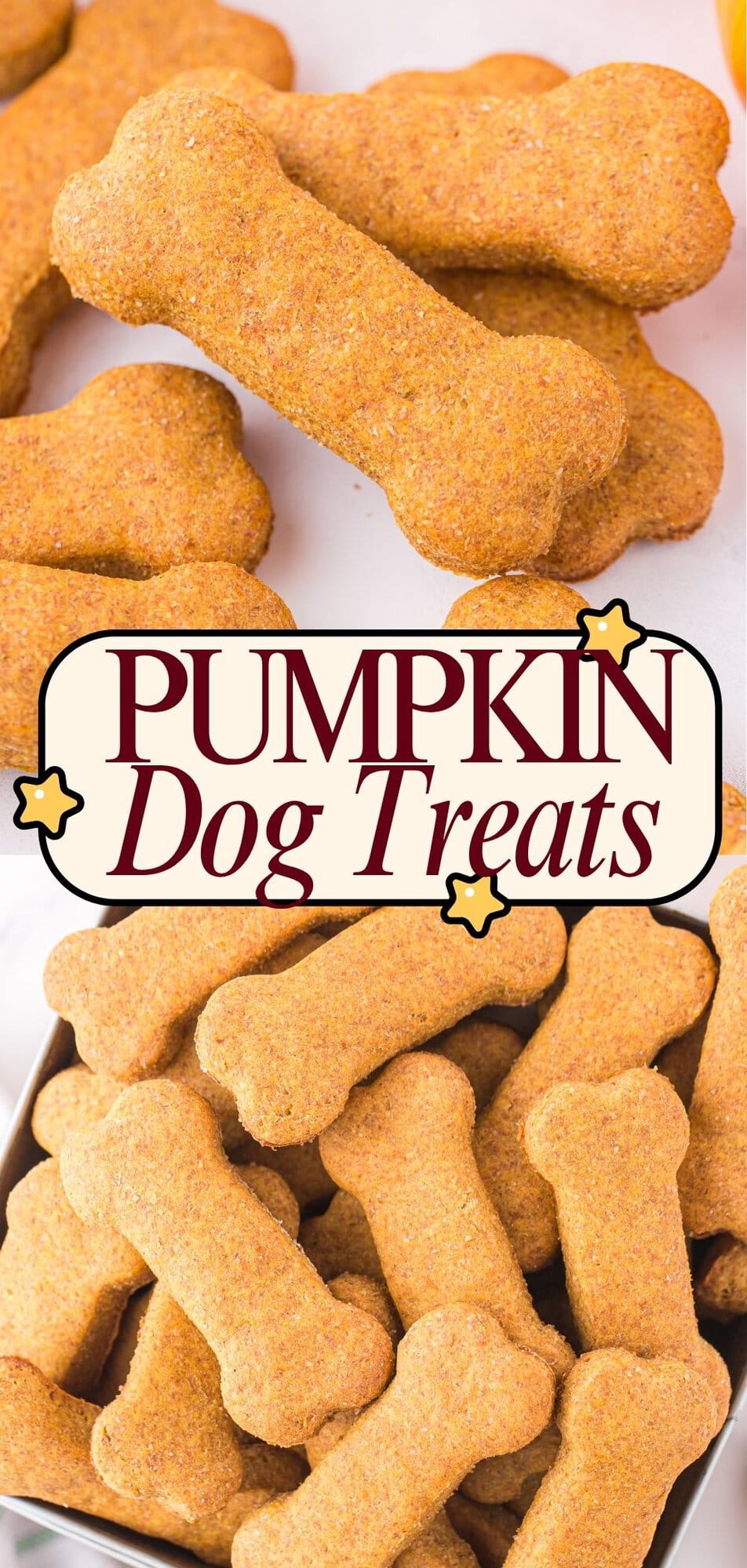 Pumpkin dog treats recipe pin with close-up and full tray views of bone-shaped cookies.