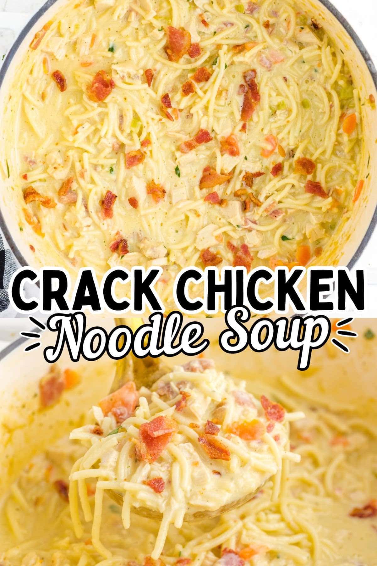 crack chicken noodle soup pin.