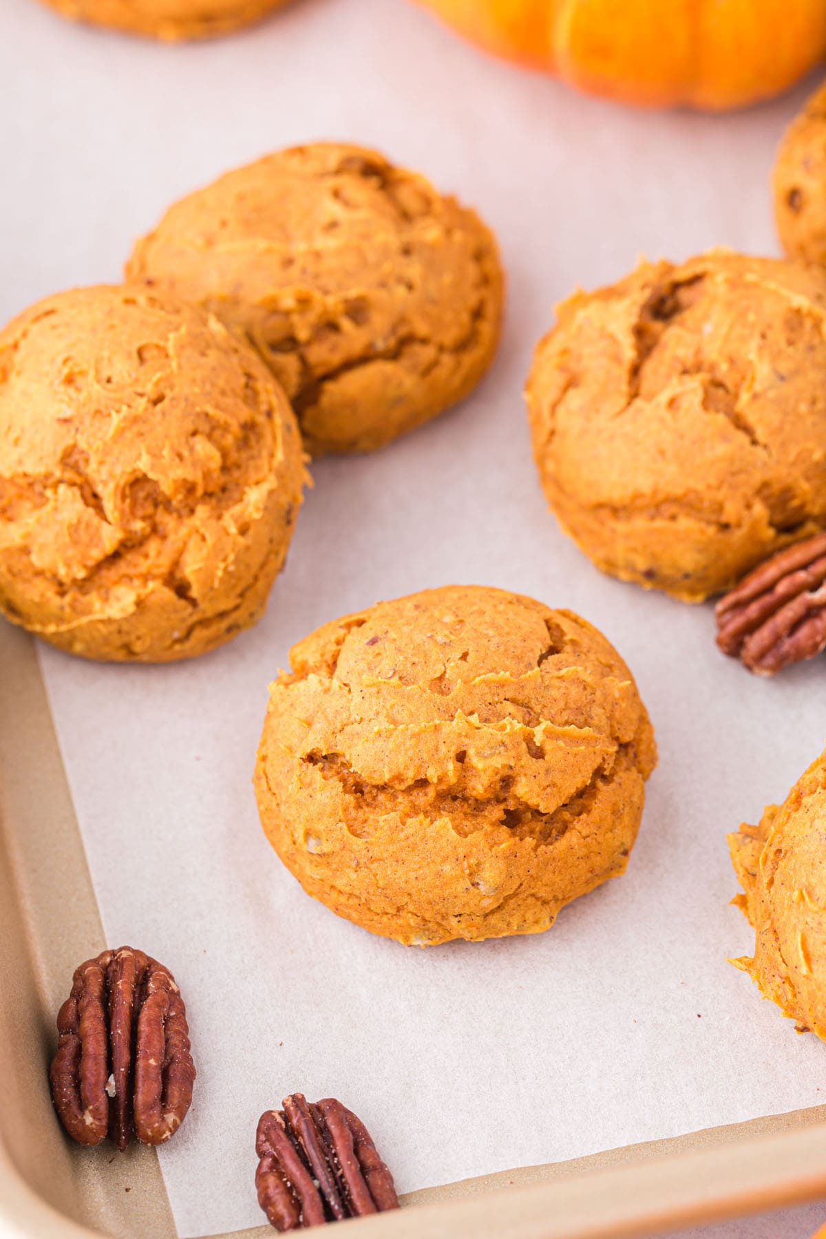 pumpkin cookies with no frosting