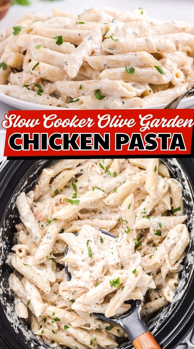 A plate of slow cooker Olive Garden chicken pasta with creamy sauce, penne, and shredded chicken topped with herbs